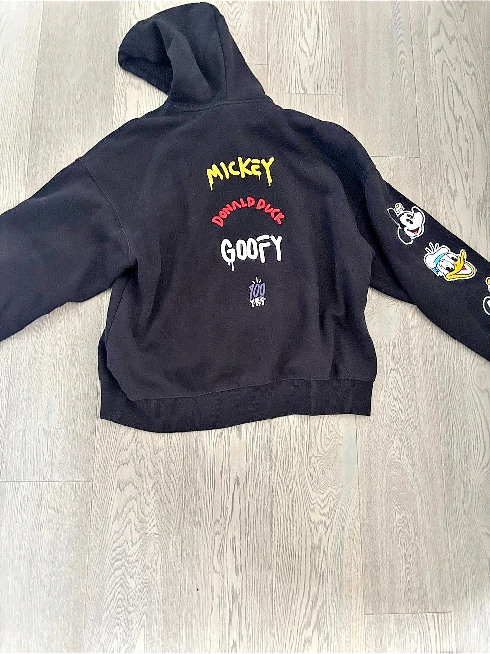 Disney H&M Disney Mickey & Friends Graphic Hoodie